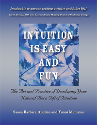 Intuition Is Easy And Fun Cover